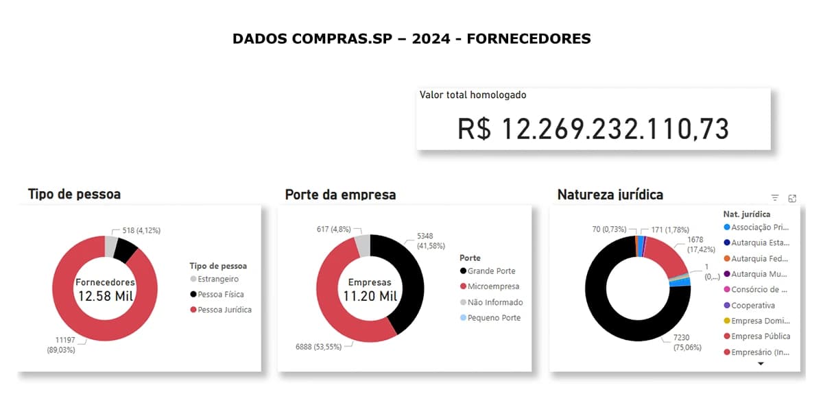 Inteligência de Mercado Público: Análise dos Fornecedores