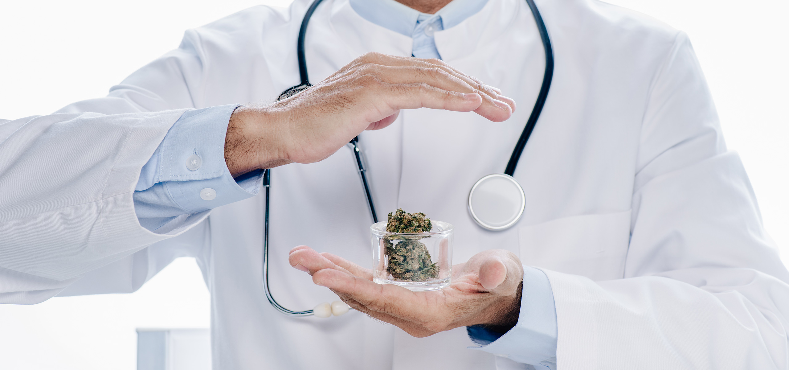 Cientistas canadenses pesquisam o uso de Cannabis contra a covid-19