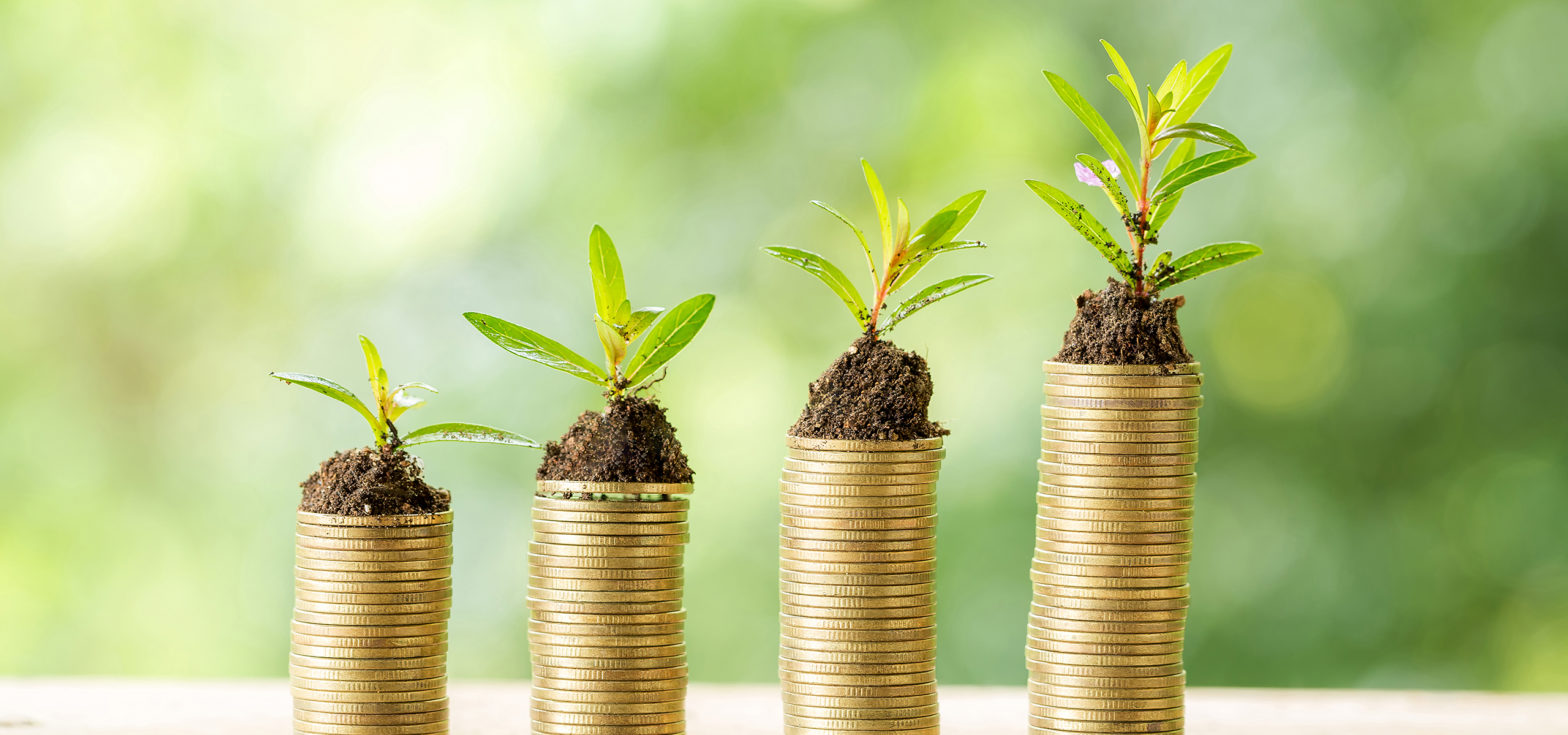O que é ESG? Conectando finanças e desenvolvimento sustentável