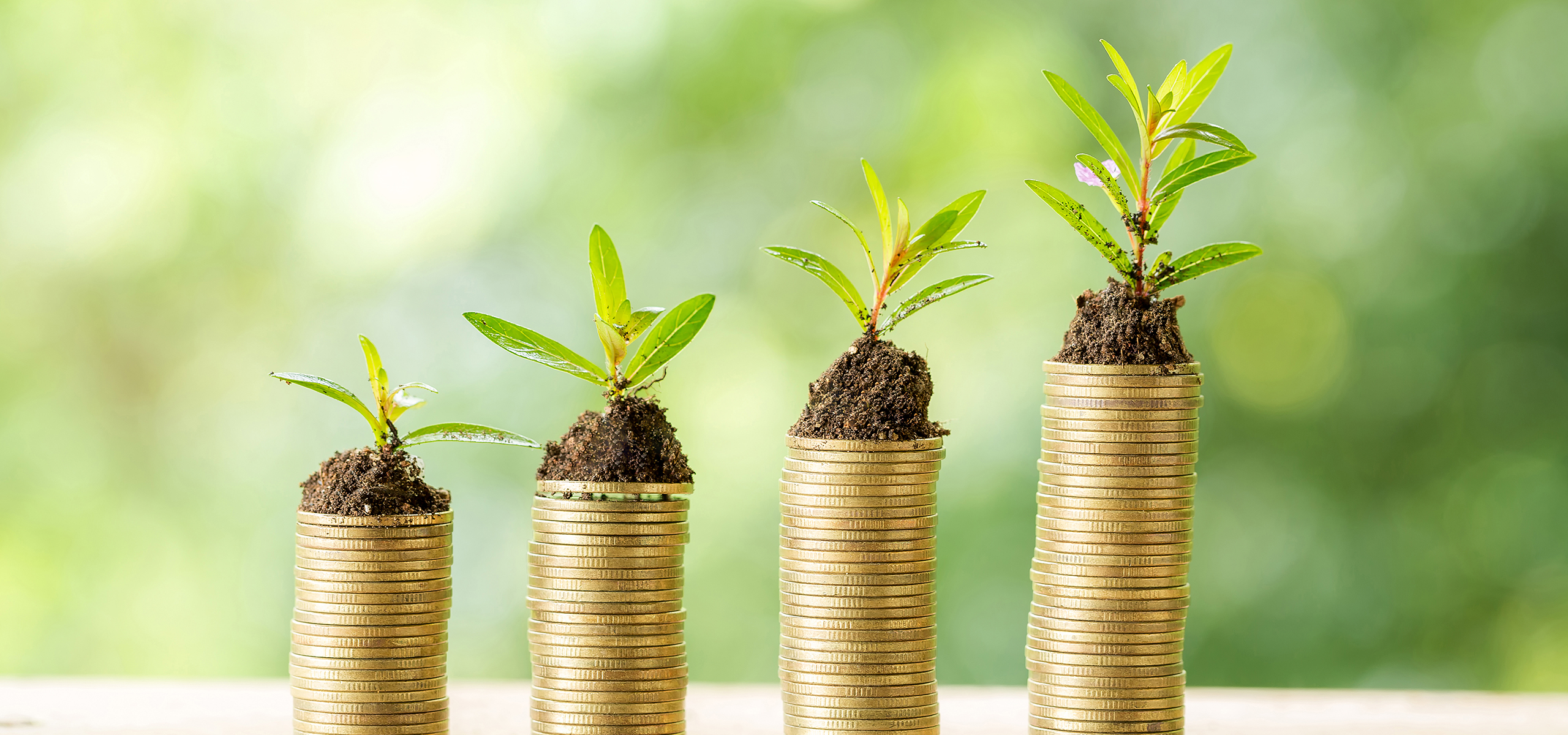 O que é ESG? Conectando finanças e desenvolvimento sustentável
