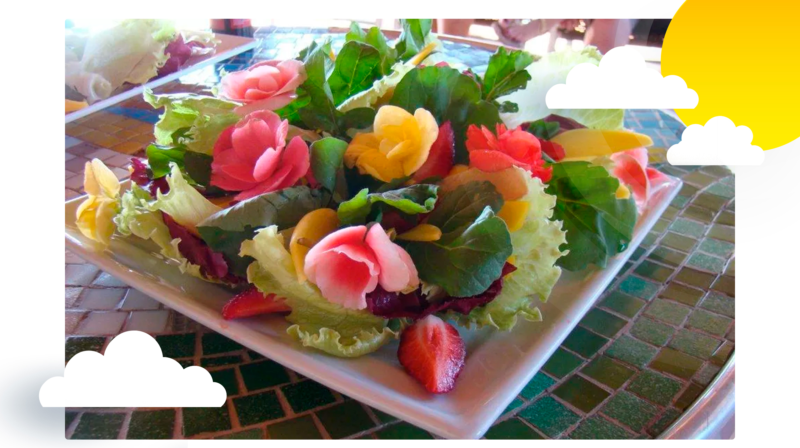 Salada de Flores, beleza e sabor