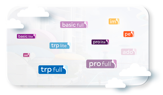 Na imagem, vê-se um diagrama com informações sobre o One Stop Shop by IBIZ