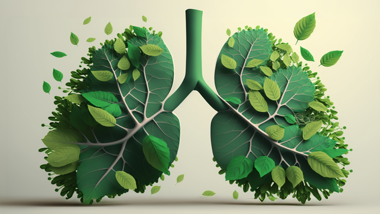 Nossa mais valiosa riqueza não pode mais esperar: é tempo de salvar e resgatar o meio ambiente, o pulmão do mundo.