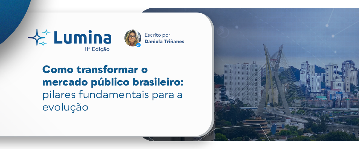 mercado público brasileiro
